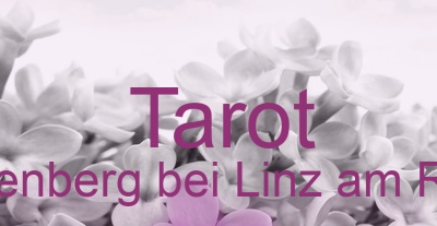 Tarot Dattenberg bei Linz am Rhein | Top-Experten für Kartenlegen, Wahrsagen, Hellsehen, Zukunftsdeutung. Tarot Dattenberg bei Linz am Rhein | Top-Experten für Kartenlegen, Wahrsagen, Hellsehen, Zukunftsdeutung.